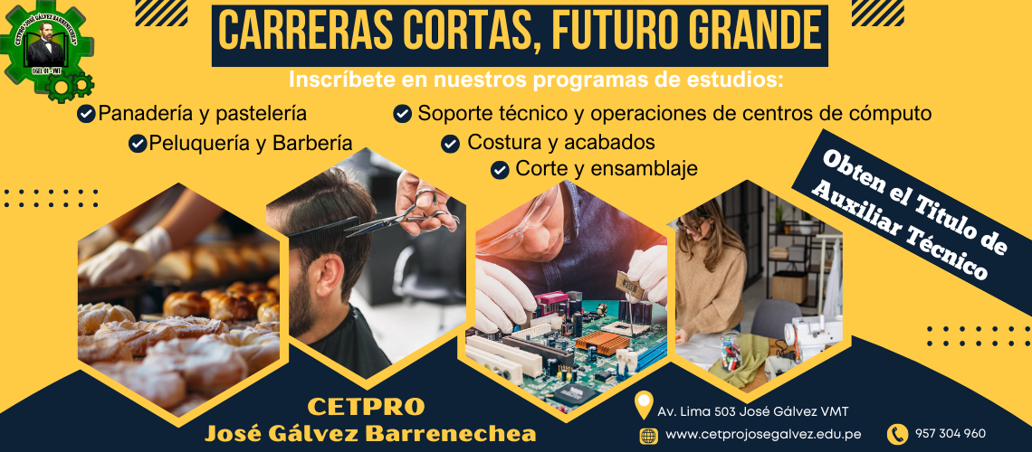 Programas de estudios